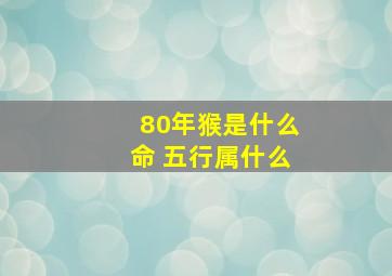 80年猴是什么命 五行属什么